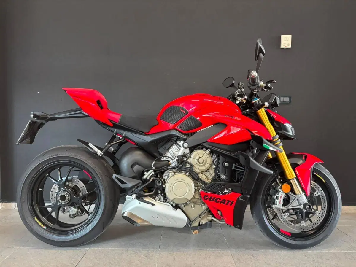 Ducati Streetfighter V4 S (2023 - 24) (6)