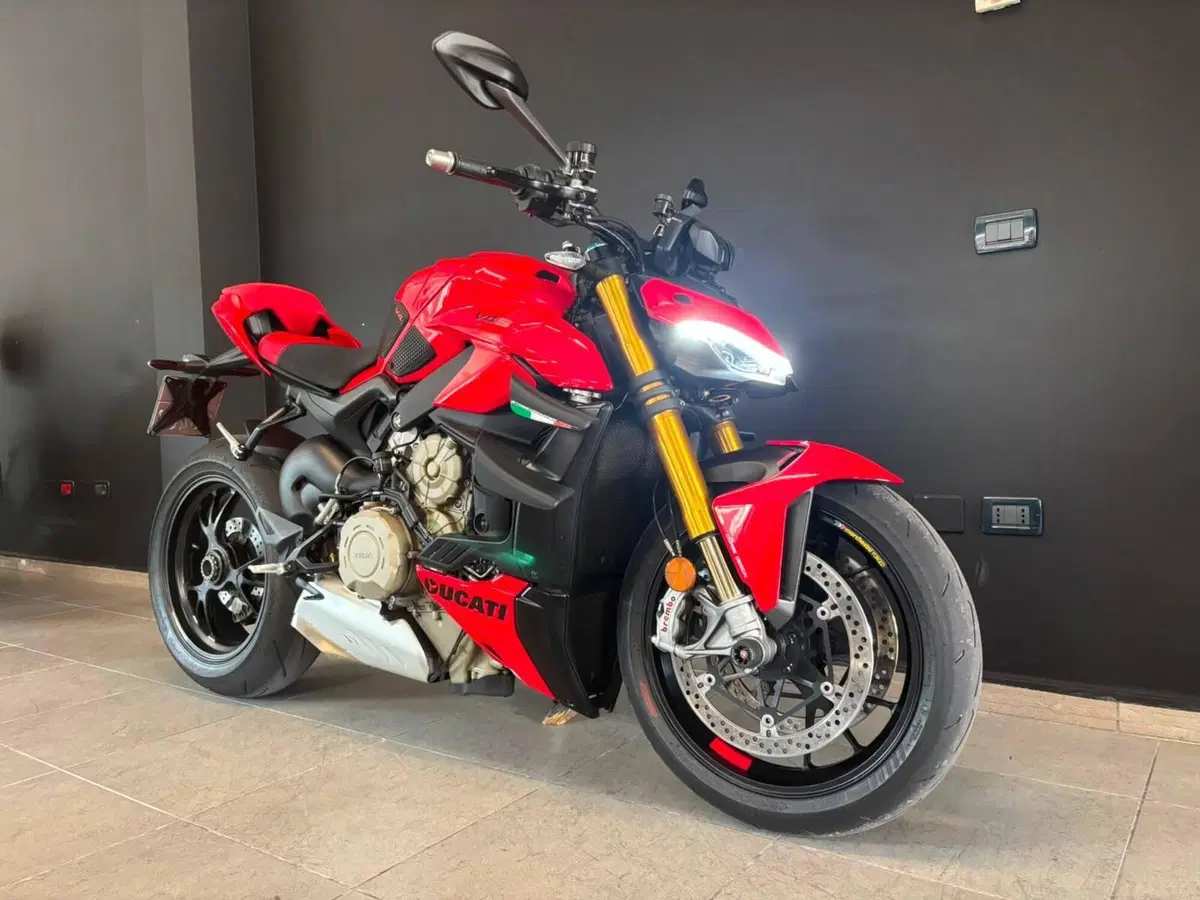 Ducati Streetfighter V4 S (2023 - 24) (7)