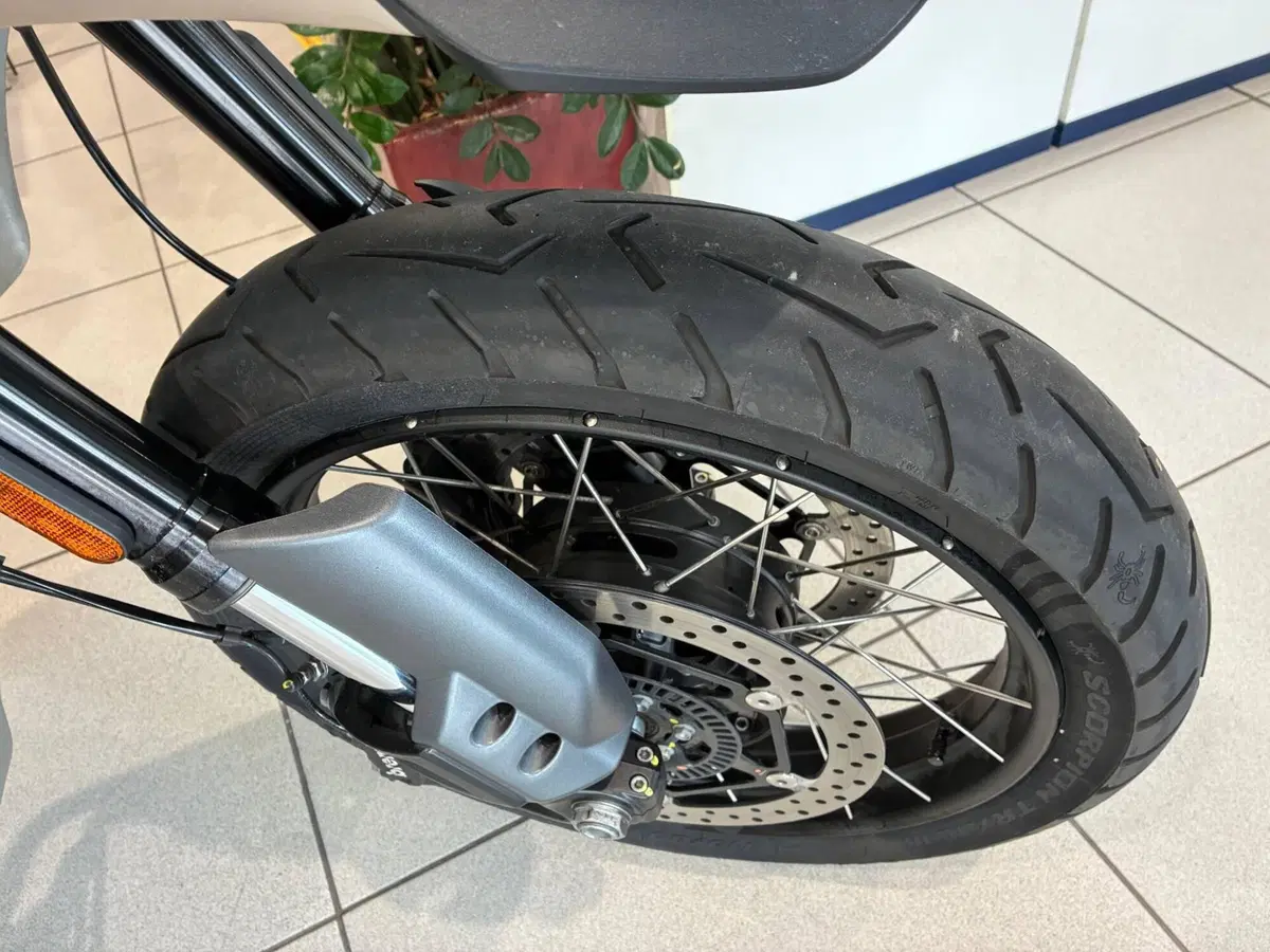 Moto Guzzi V85 TT Travel (2024 - 26) (4)