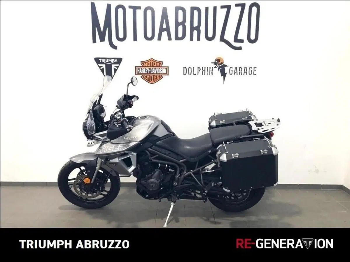 Triumph Tiger 800 XRt (2018 - 20) (15)