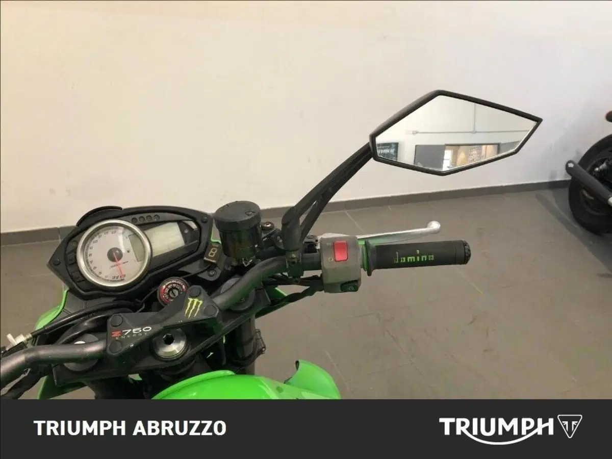 Kawasaki Z 750 (2003 - 06) (9)