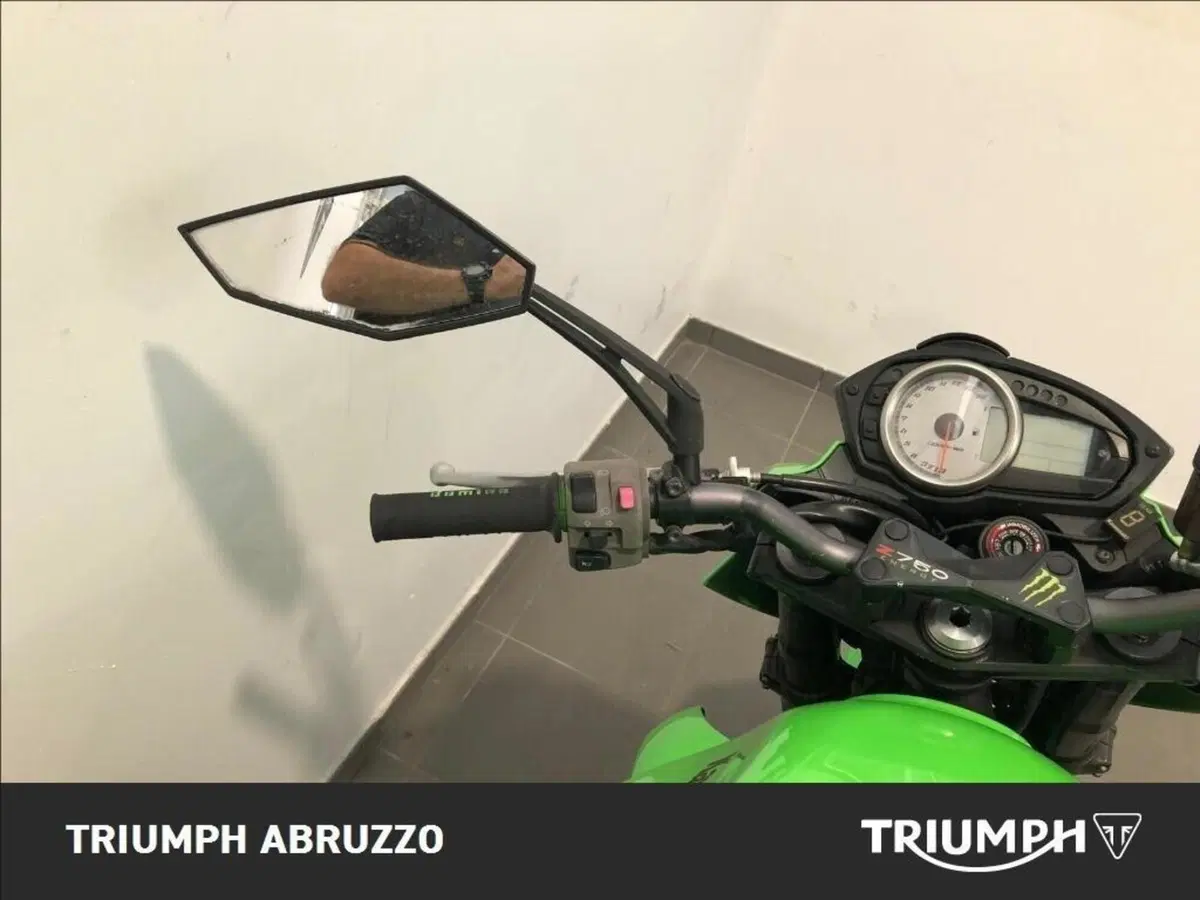 Kawasaki Z 750 (2003 - 06) (10)