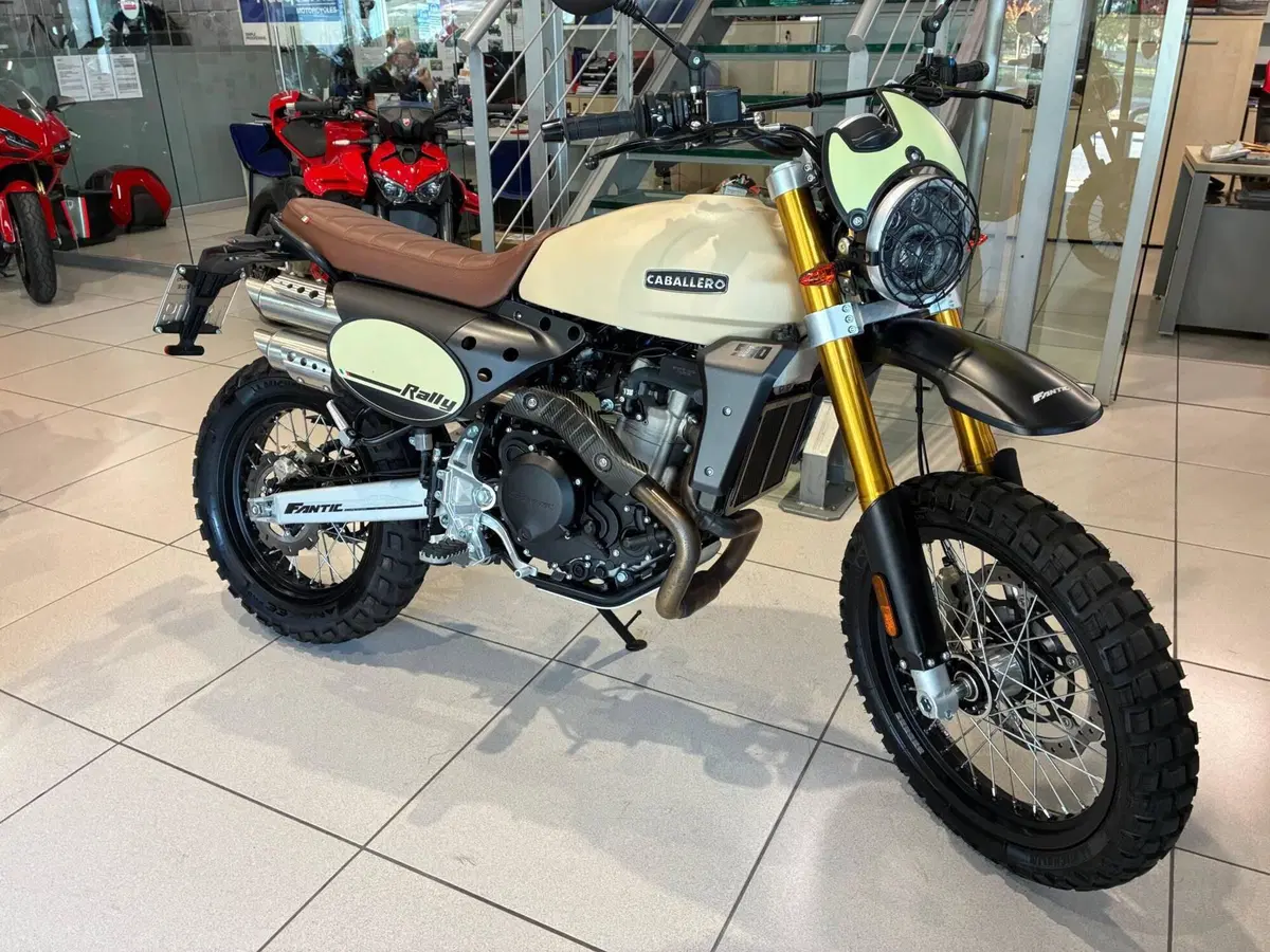Fantic Motor Caballero 500 Rally (2024) (2)
