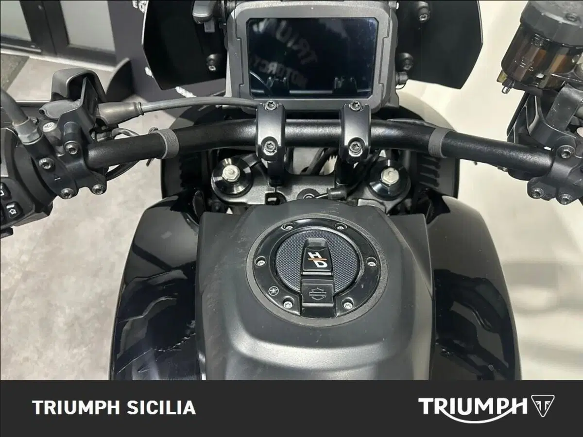 Harley-Davidson Pan America 1250 Special (2020 - 25) (11)