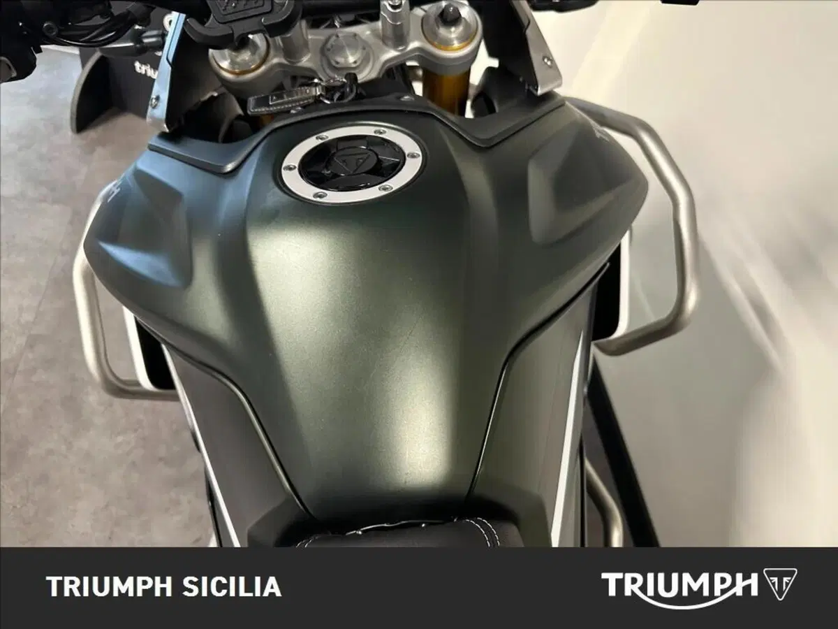 Triumph Tiger 900 Rally Pro (2020 - 23) (13)