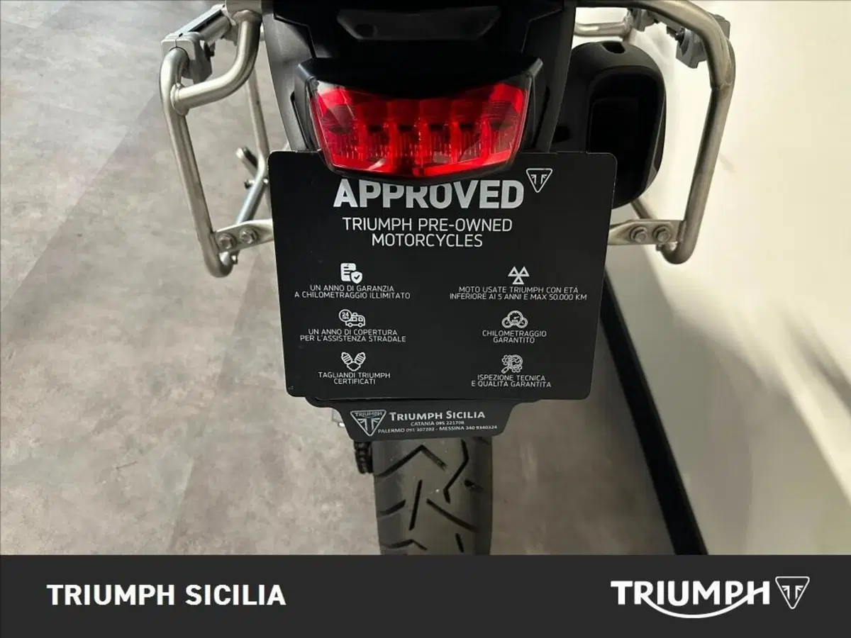 Triumph Tiger 900 Rally Pro (2020 - 23) (11)