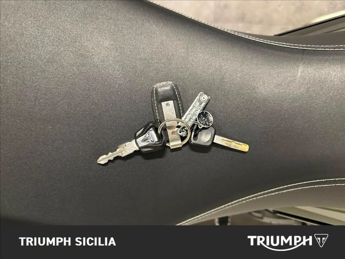 Triumph Tiger 900 Rally Pro (2020 - 23) (18)