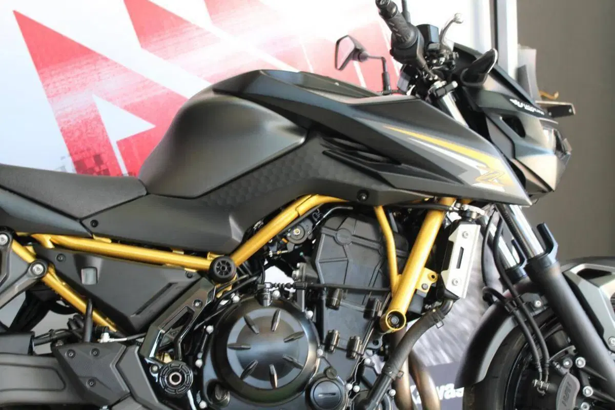 Kawasaki Z 650 (2025 - 26) (6)