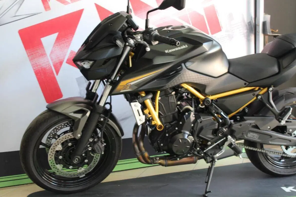 Kawasaki Z 650 (2025 - 26) (11)