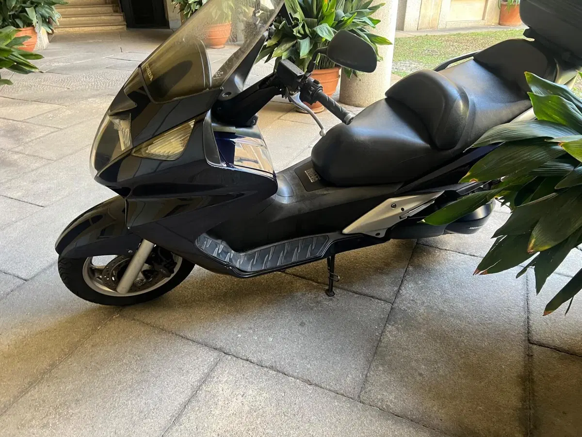 Honda Silver Wing 600 (2001 - 05) (2)