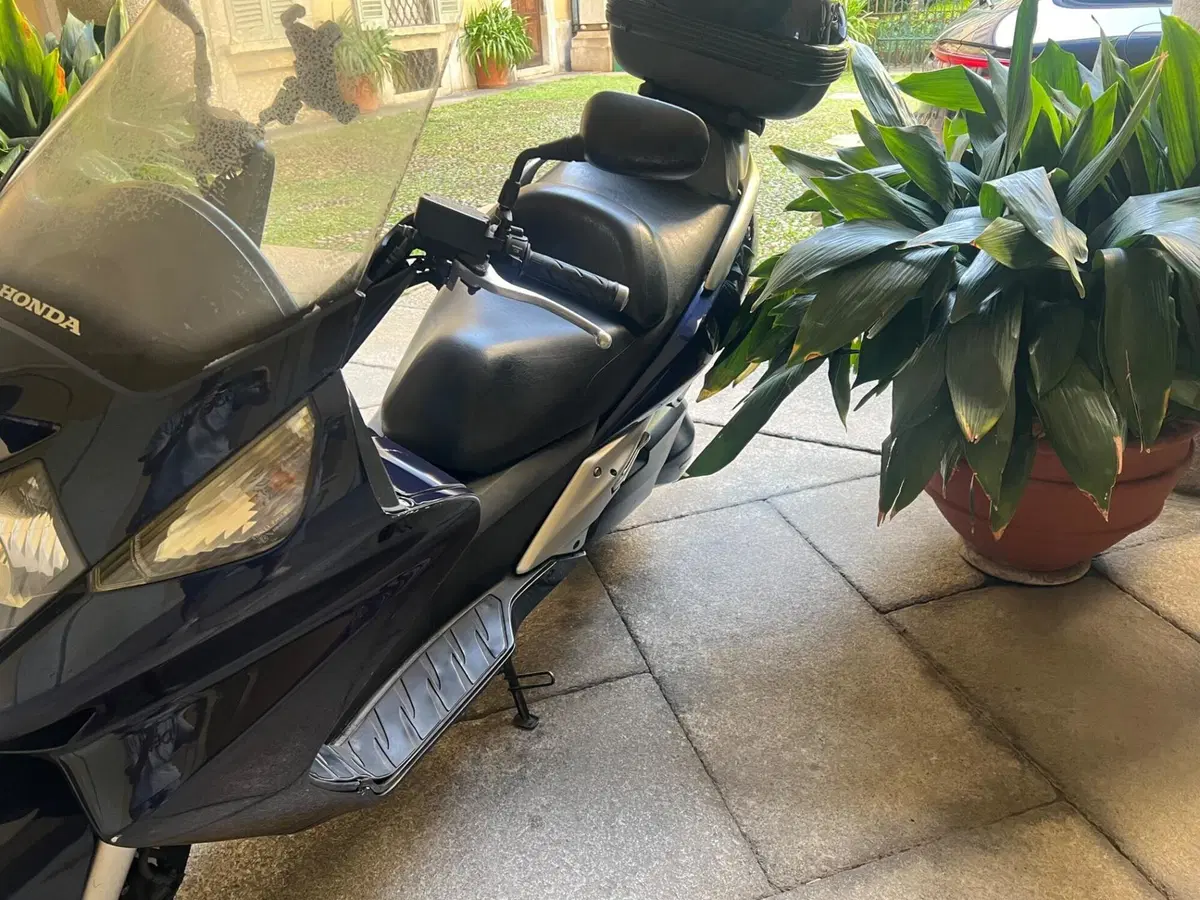 Honda Silver Wing 600 (2001 - 05) (4)