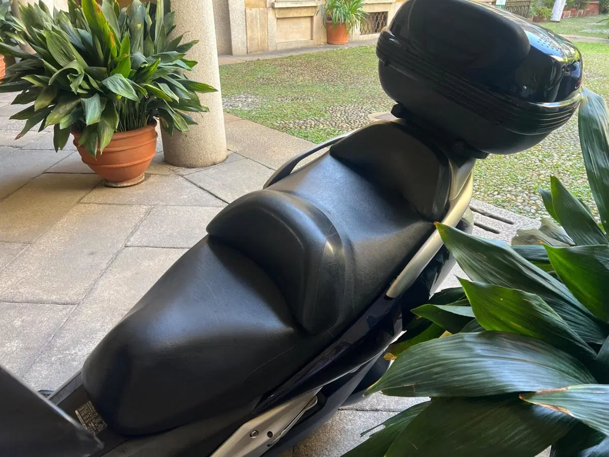 Honda Silver Wing 600 (2001 - 05) (8)