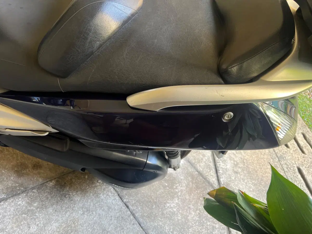 Honda Silver Wing 600 (2001 - 05) (10)