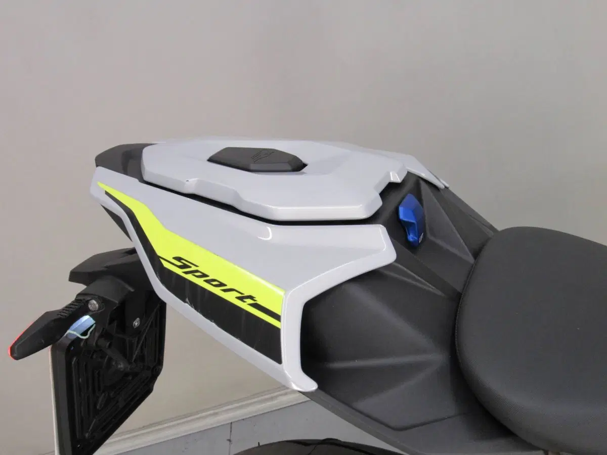 Bmw S 1000 R (2021 - 24) (11)