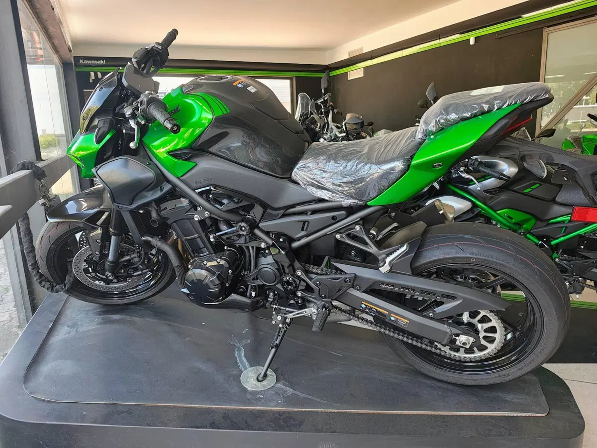 Kawasaki Z 900 (2025 - 26)