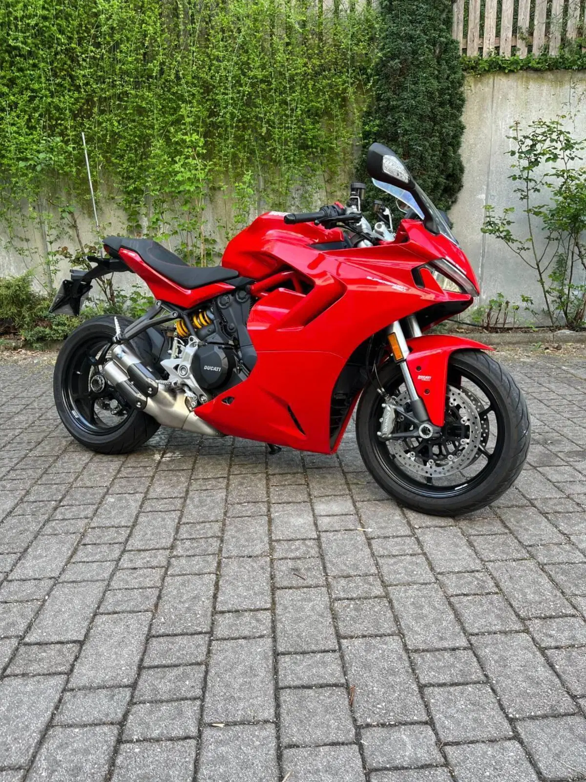 Ducati SuperSport 950 (2021 - 24) (3)