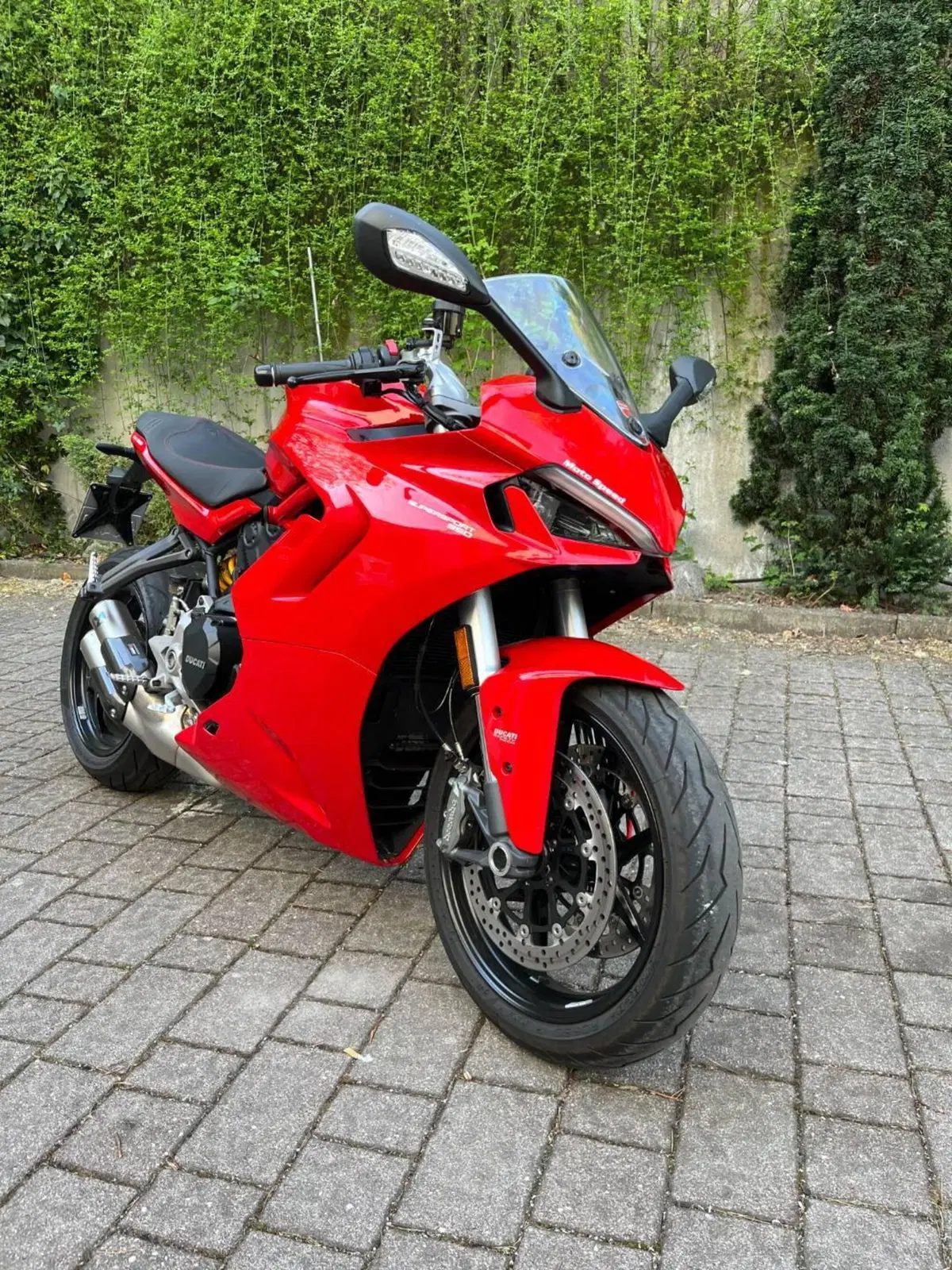 Ducati SuperSport 950 (2021 - 24) (4)