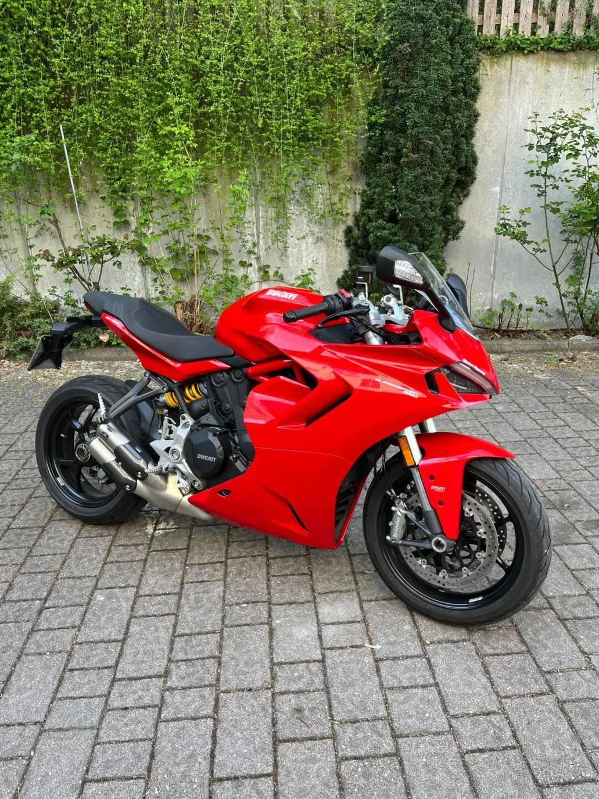 Ducati SuperSport 950 (2021 - 24) (9)
