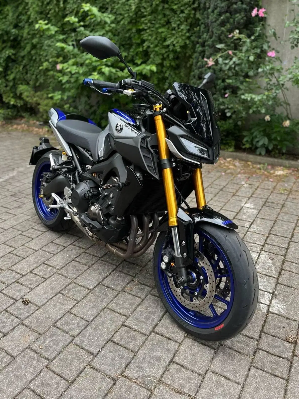 Yamaha MT-09 SP (2018 - 20) (3)