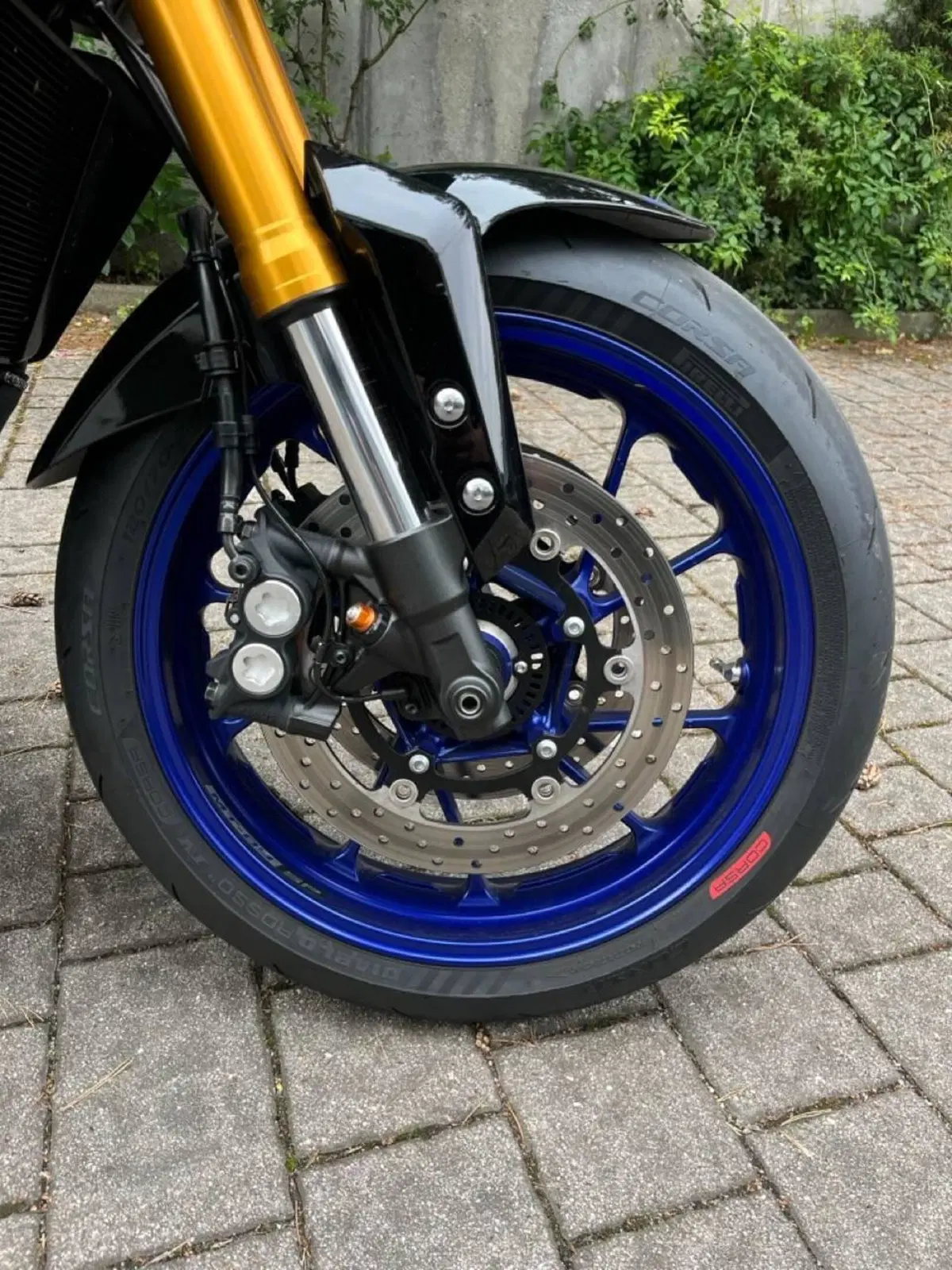 Yamaha MT-09 SP (2018 - 20) (4)