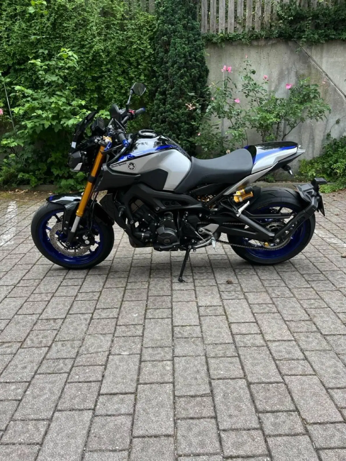 Yamaha MT-09 SP (2018 - 20) (6)