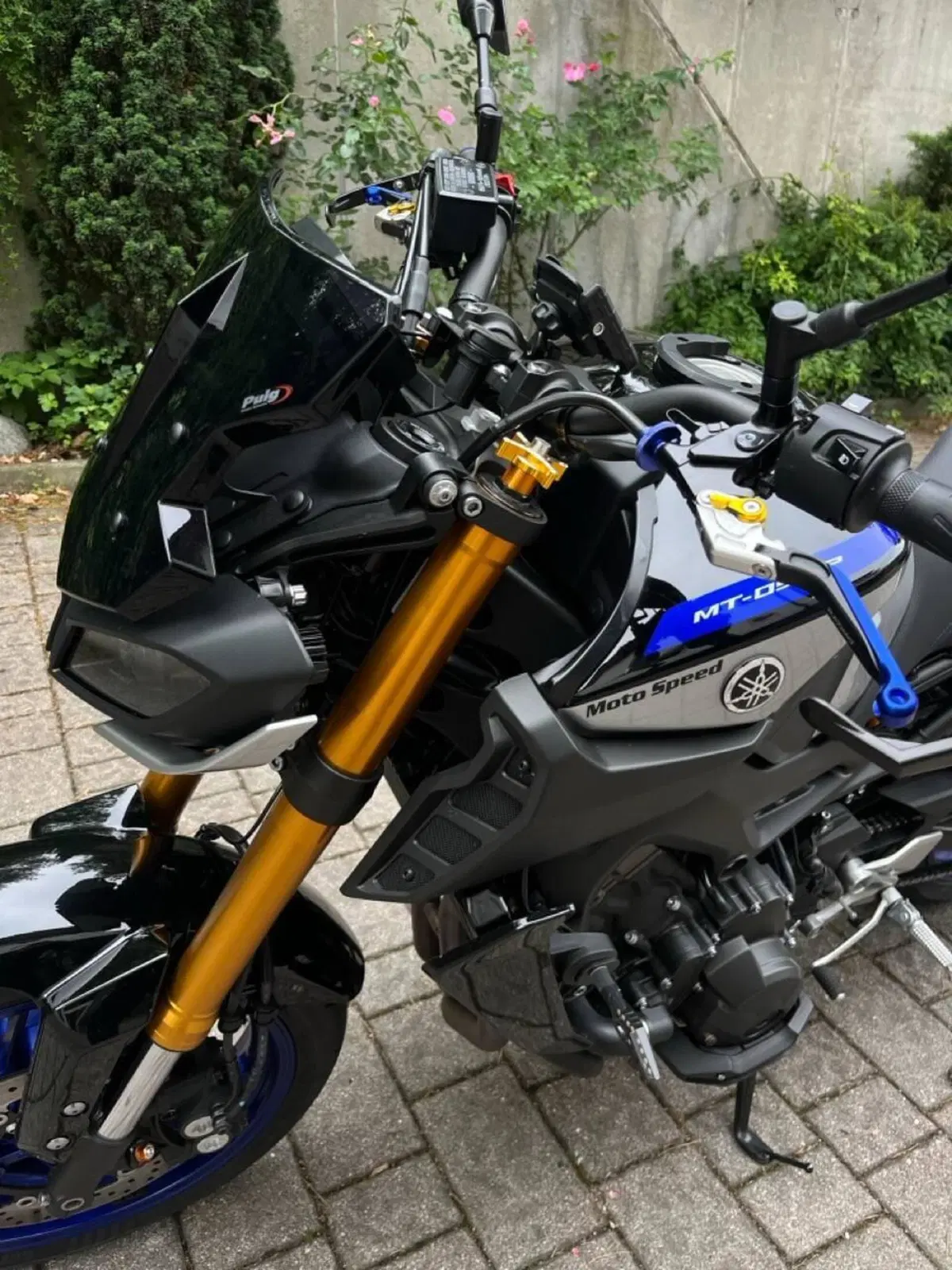 Yamaha MT-09 SP (2018 - 20) (9)