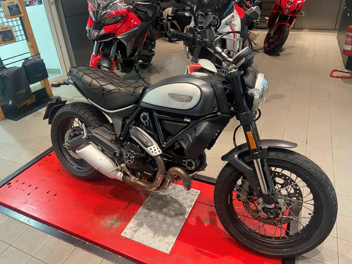 Ducati Scrambler 800 Classic (2017 - 18) (4)
