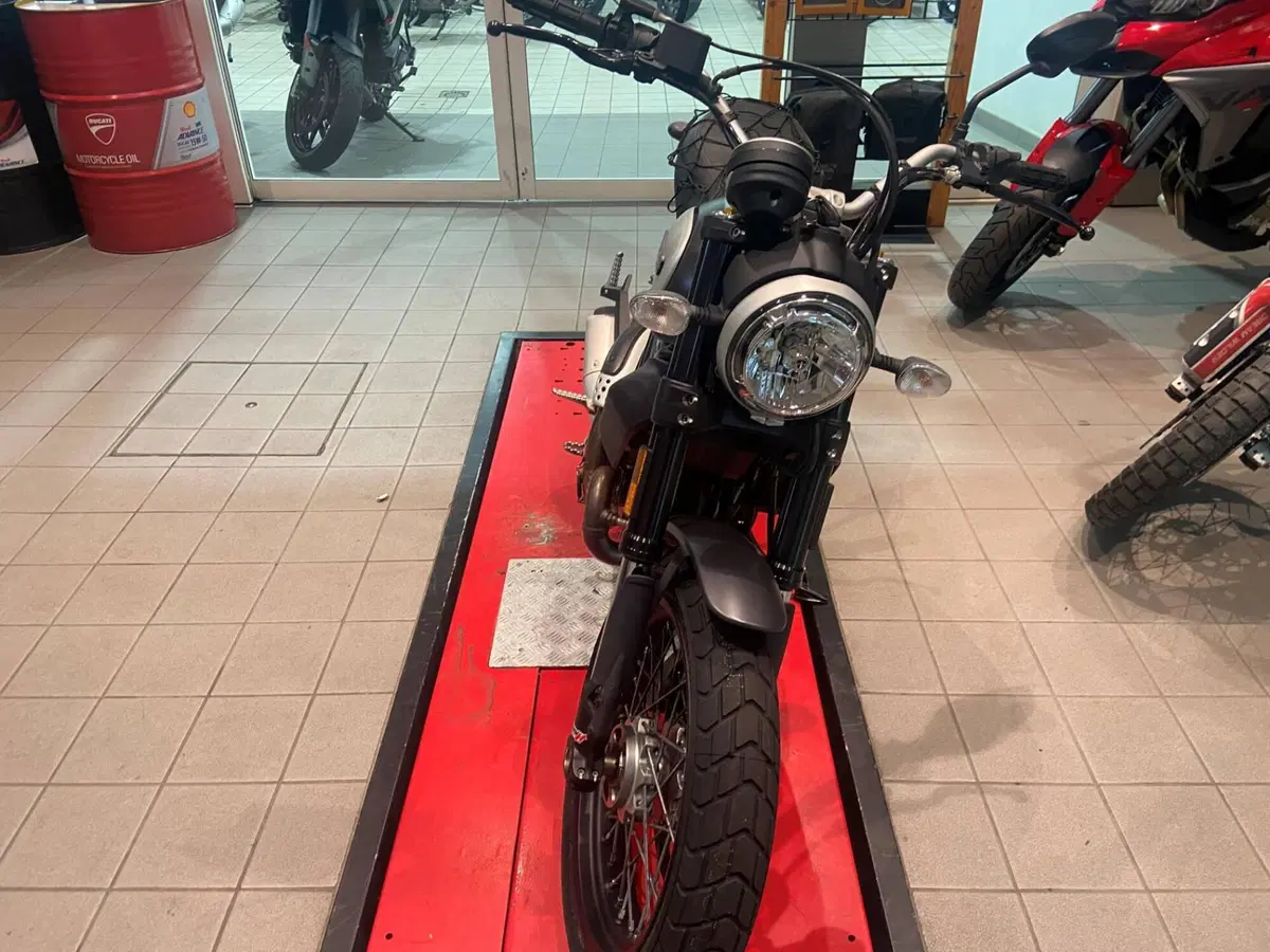 Ducati Scrambler 800 Classic (2017 - 18) (5)