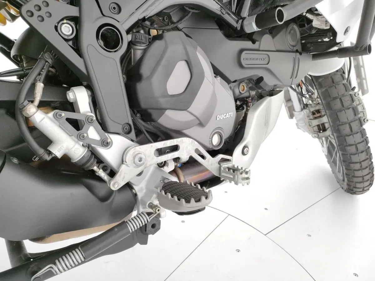 Ducati DesertX (2022 - 25) (11)