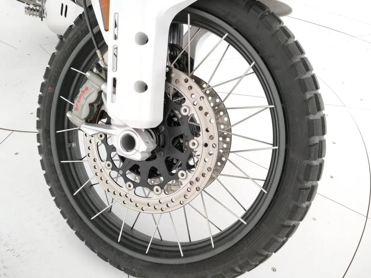 Ducati DesertX (2022 - 25) (12)