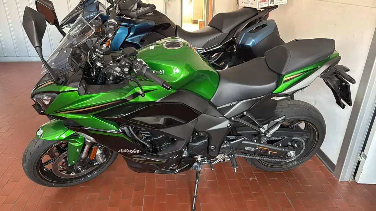 Kawasaki Ninja 1100 SX SE (2025 - 26)