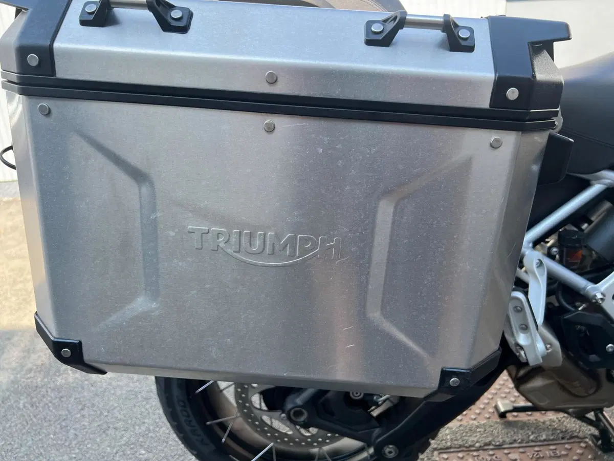 Triumph Tiger 1200 Rally Pro (2022 - 23) (11)