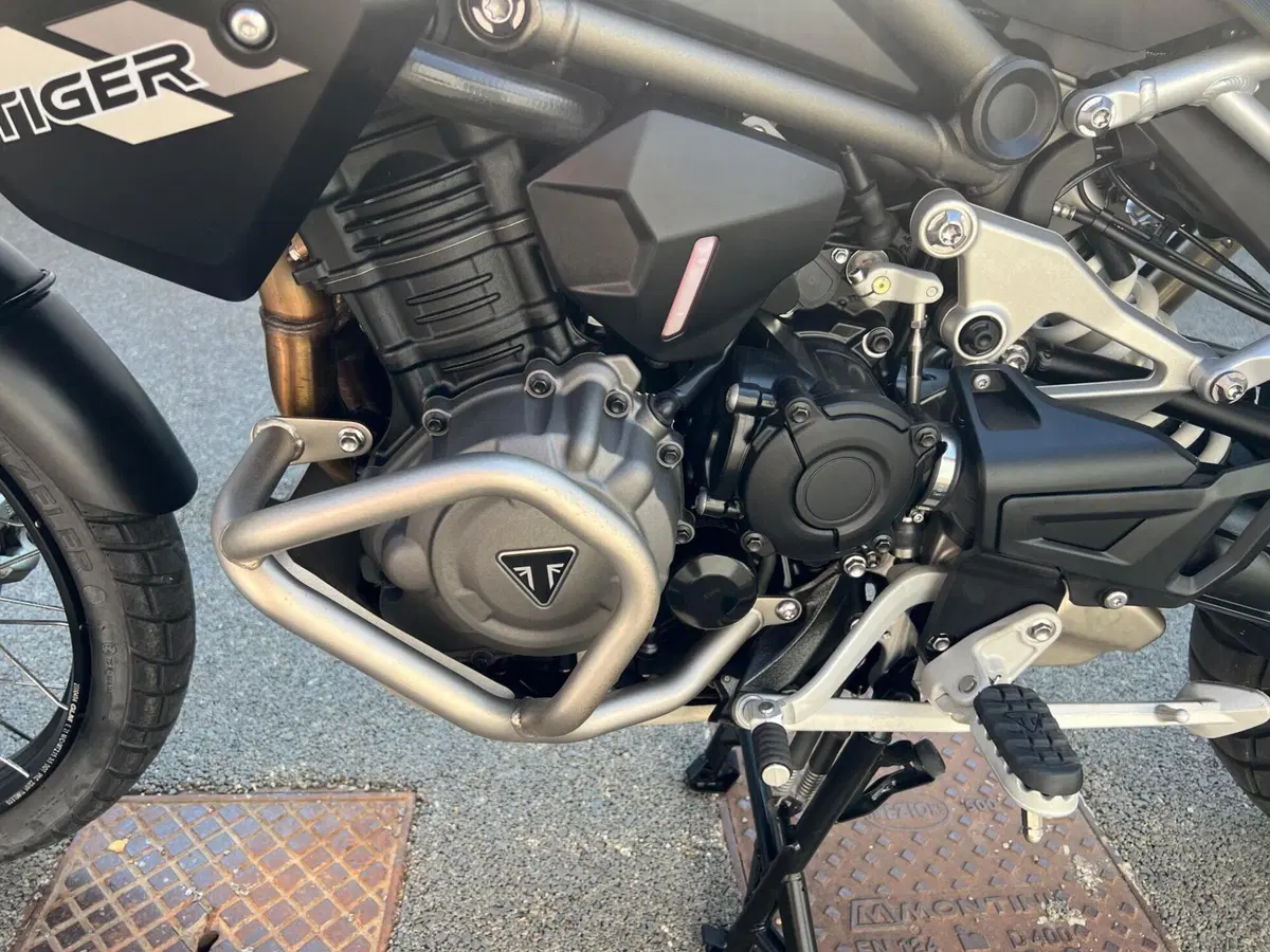Triumph Tiger 1200 Rally Pro (2022 - 23) (16)