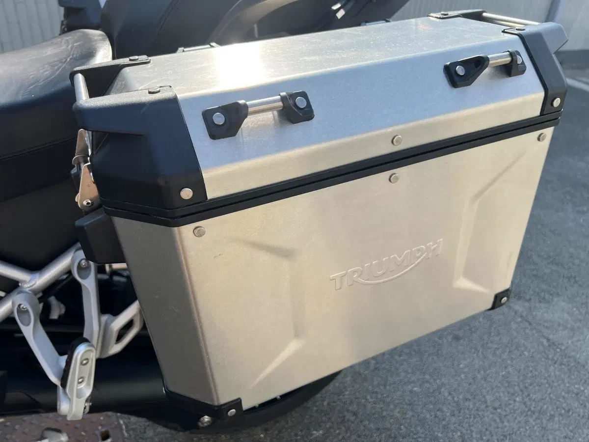 Triumph Tiger 1200 Rally Pro (2022 - 23) (10)