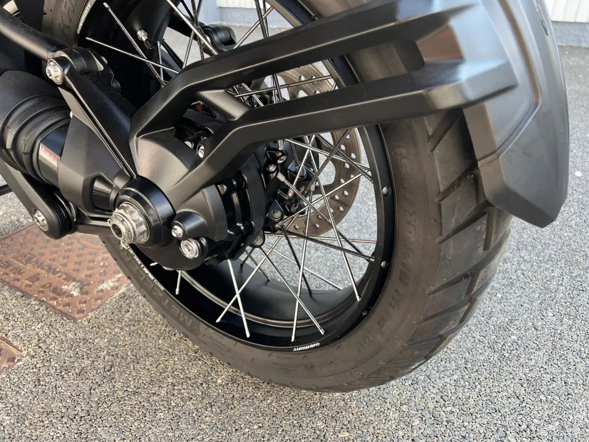 Triumph Tiger 1200 Rally Pro (2022 - 23) (19)