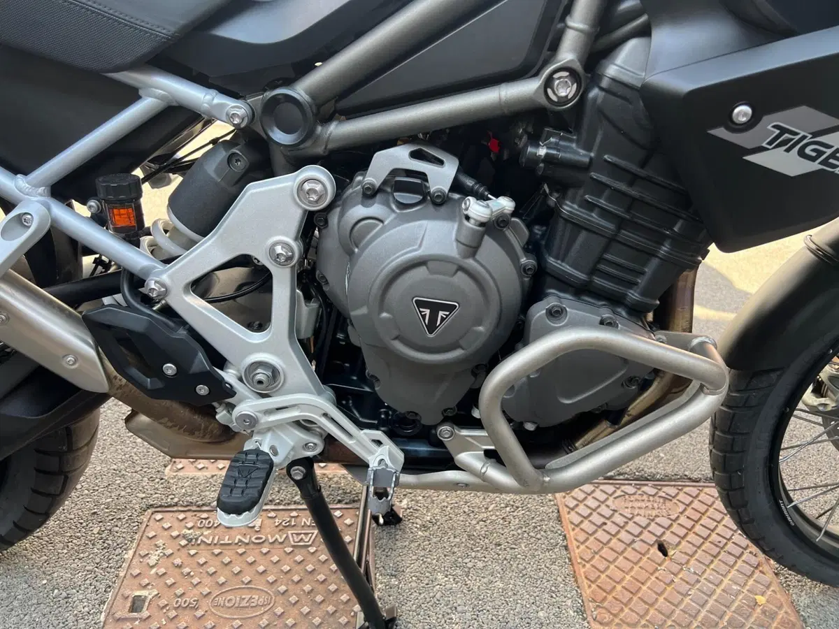 Triumph Tiger 1200 Rally Pro (2022 - 23) (17)