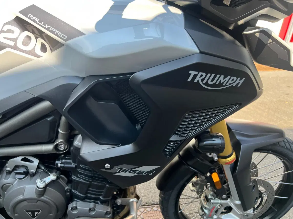 Triumph Tiger 1200 Rally Pro (2022 - 23) (6)