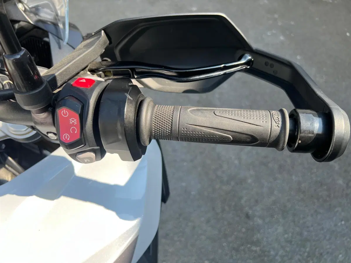 Triumph Tiger 1200 Rally Pro (2022 - 23) (13)