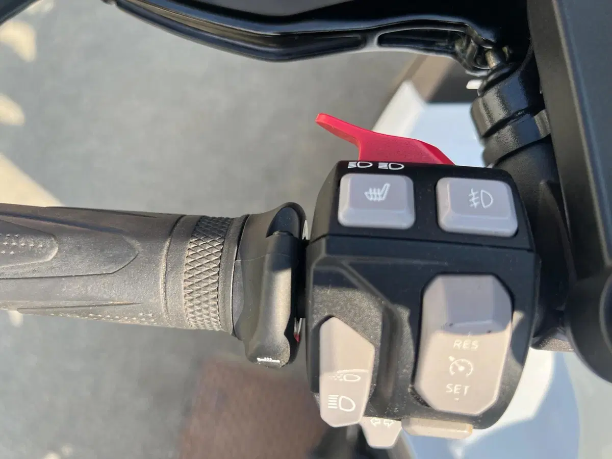 Triumph Tiger 1200 Rally Pro (2022 - 23) (14)
