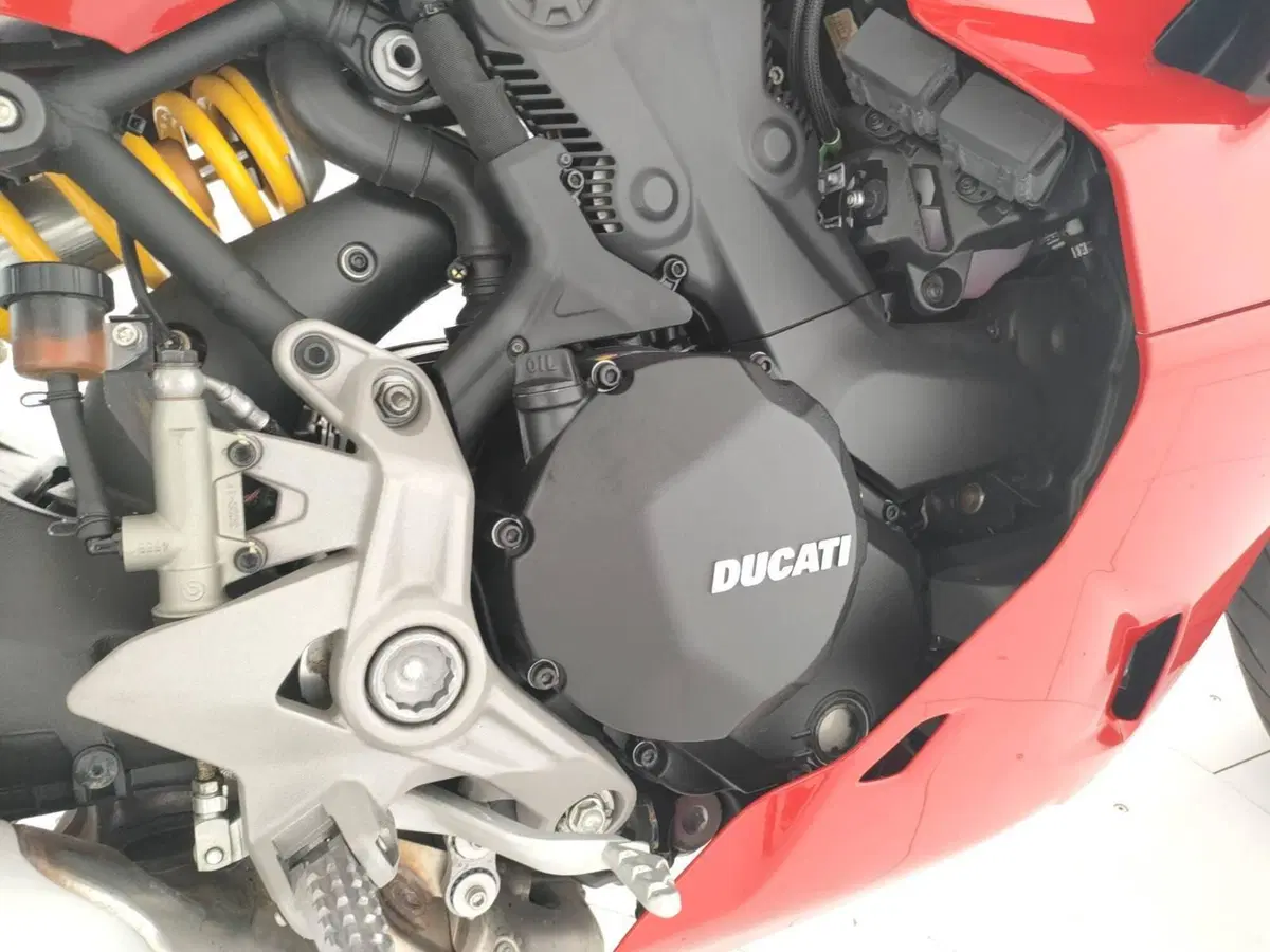 Ducati SuperSport 950 (2021 - 24) (10)