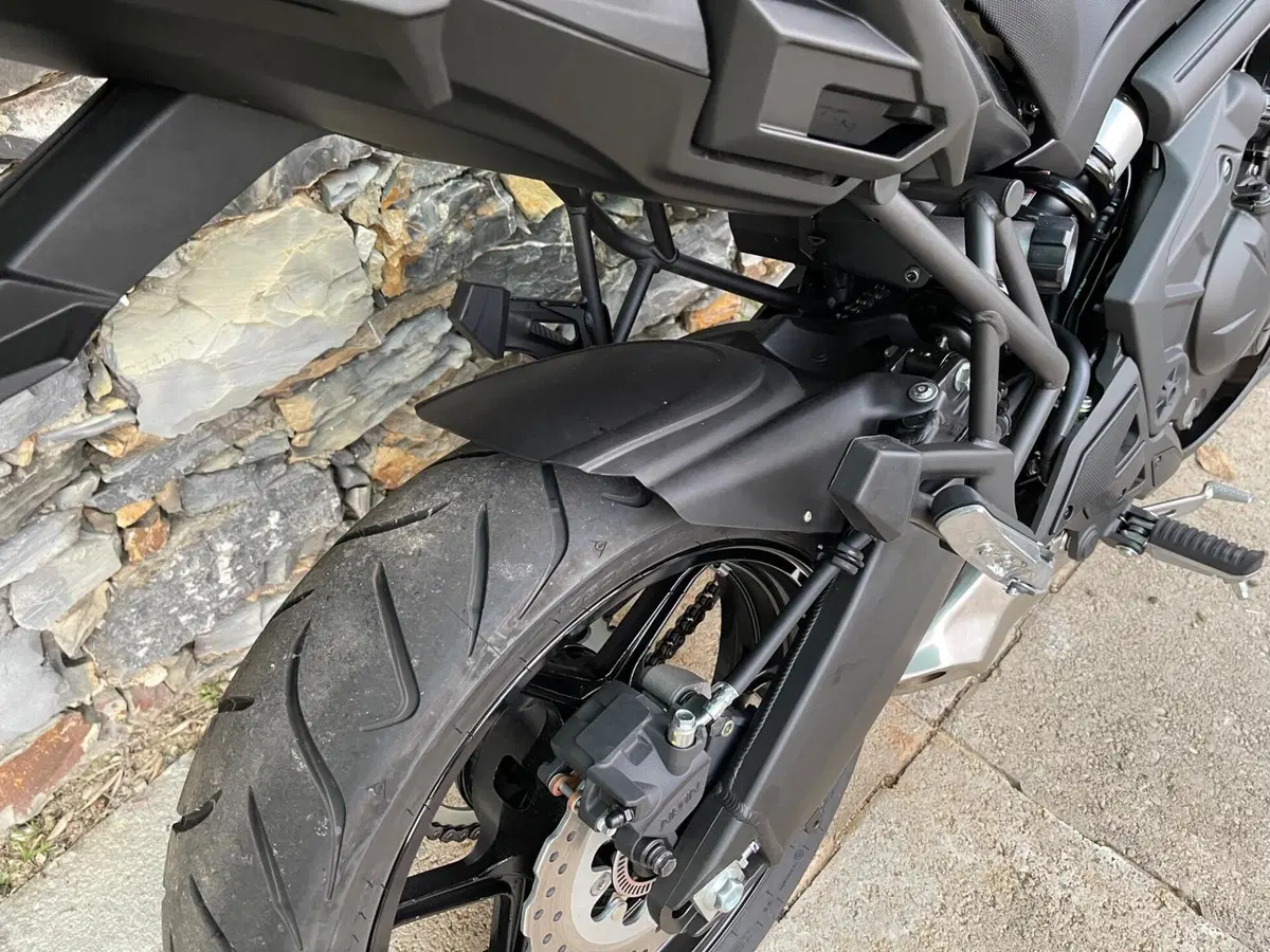 Kawasaki Versys 650 (2021 - 24) (4)