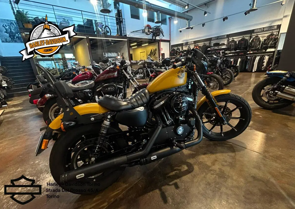 Harley-Davidson 883 Iron (2017 - 20) - XL 883N