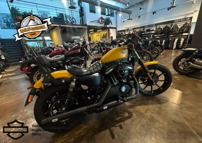 Harley-Davidson 883 Iron (2017 - 20) - XL 883N usata
