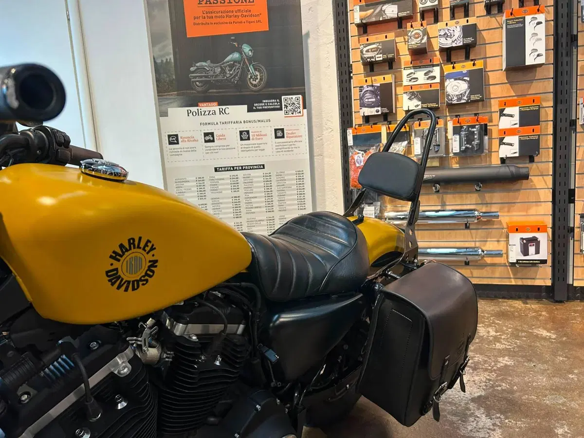 Harley-Davidson 883 Iron (2017 - 20) - XL 883N (2)