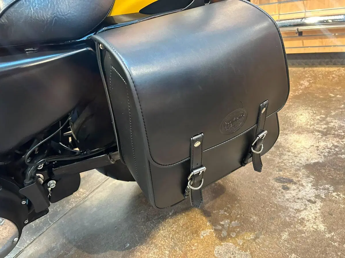 Harley-Davidson 883 Iron (2017 - 20) - XL 883N (3)