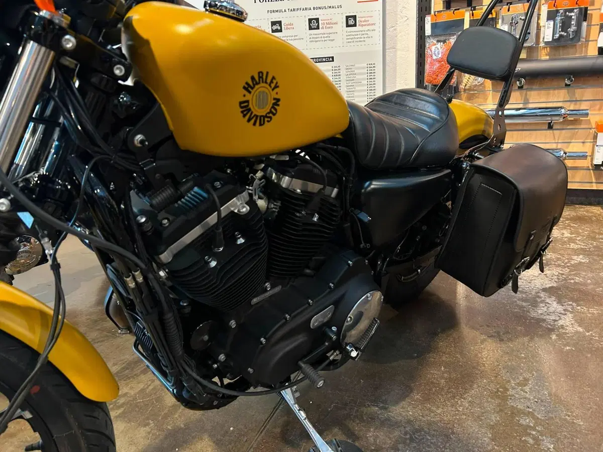 Harley-Davidson 883 Iron (2017 - 20) - XL 883N (4)