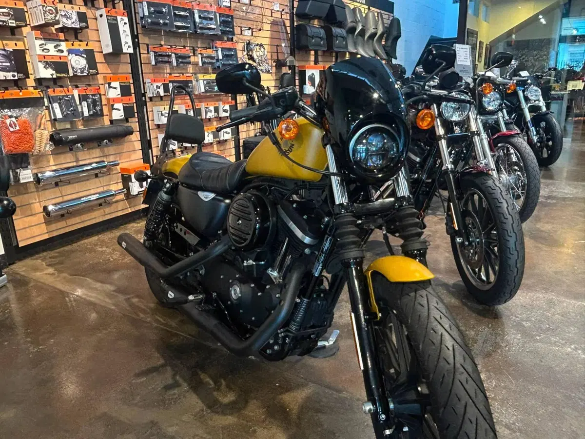 Harley-Davidson 883 Iron (2017 - 20) - XL 883N (6)