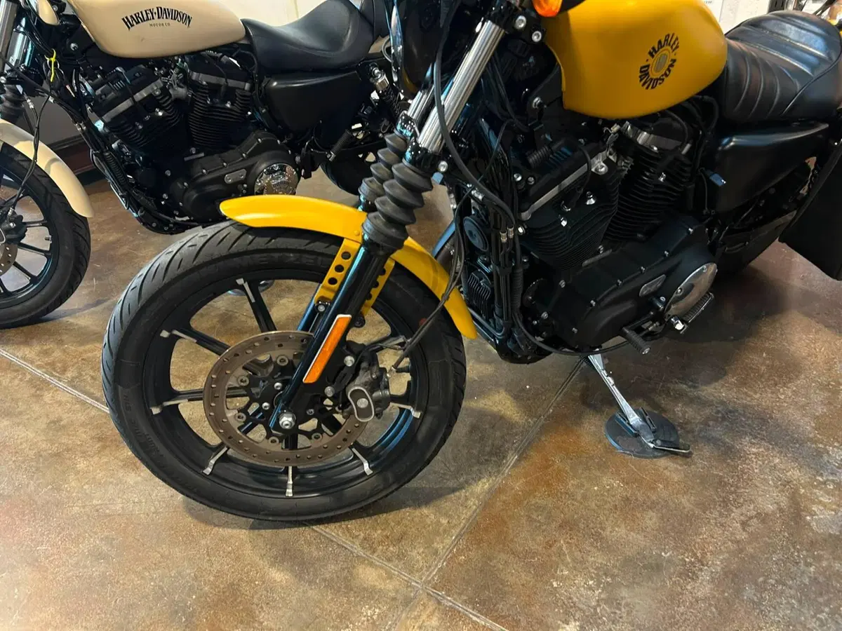 Harley-Davidson 883 Iron (2017 - 20) - XL 883N (7)