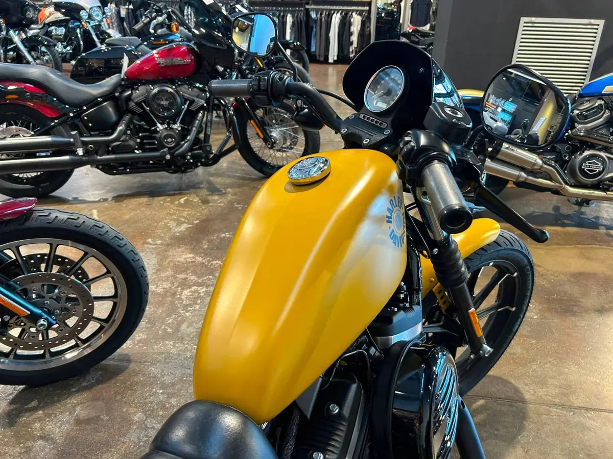 Harley-Davidson 883 Iron (2017 - 20) - XL 883N (8)