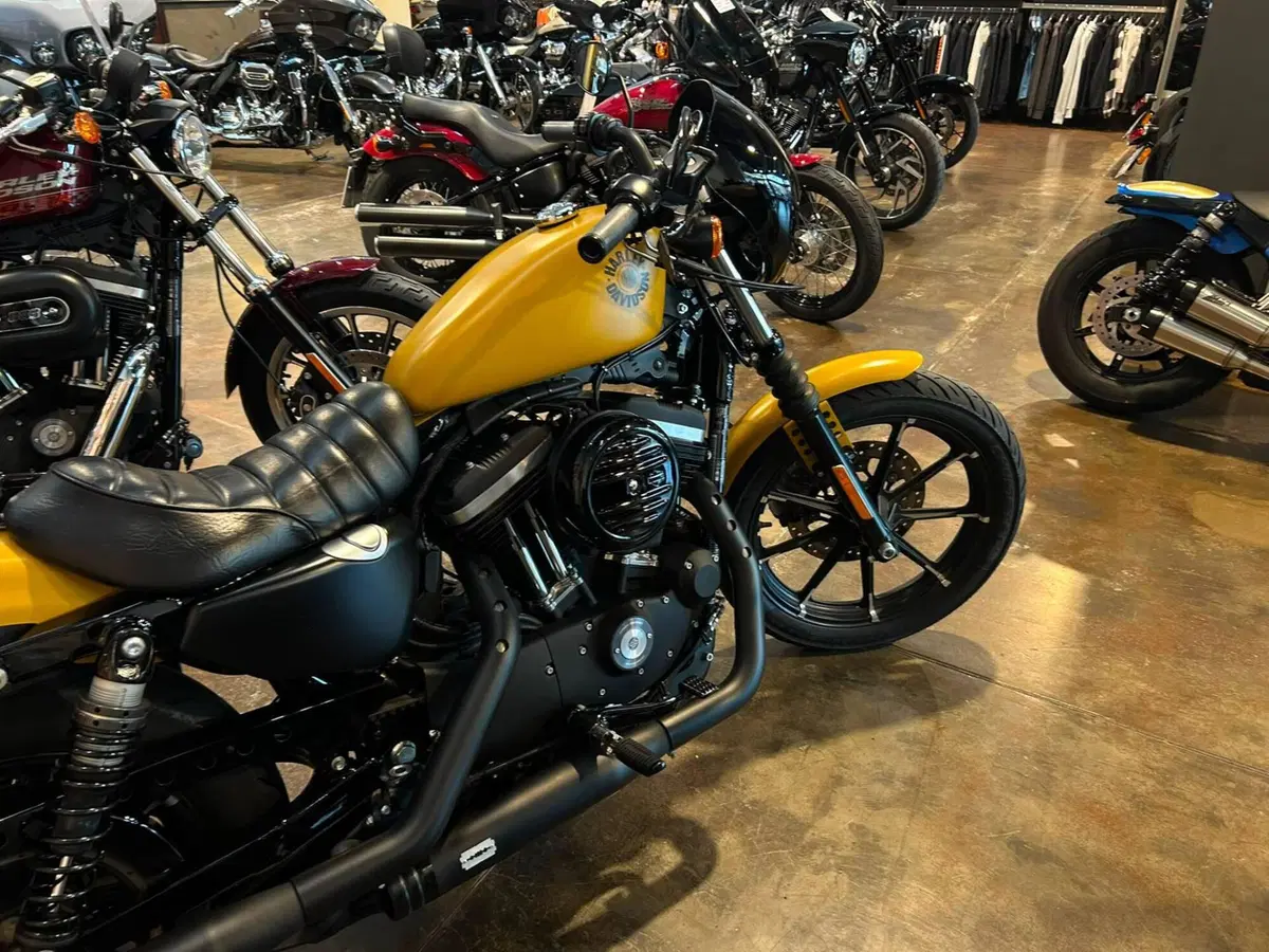 Harley-Davidson 883 Iron (2017 - 20) - XL 883N (10)